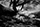 Le titre de la photo 02
