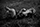 Le titre de la photo 16